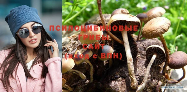 соль ск Михайлов