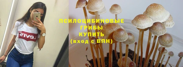 мет Михайловск