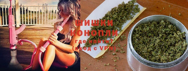 соль ск Михайлов