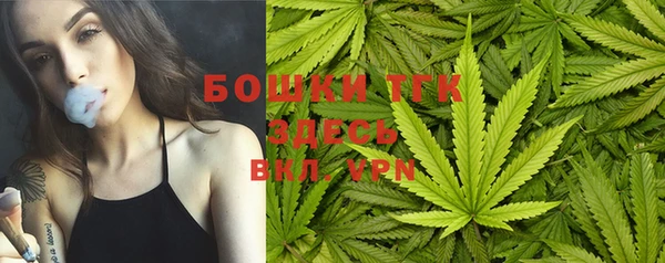 соль ск Михайлов