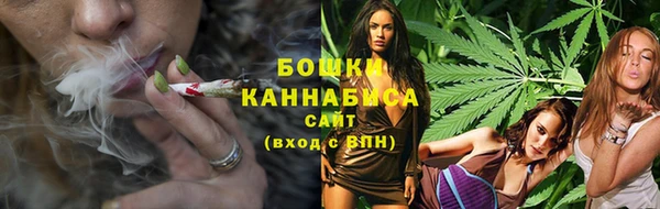 соль ск Михайлов