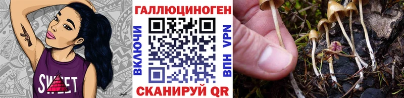 Галлюциногенные грибы Cubensis  Тула 
