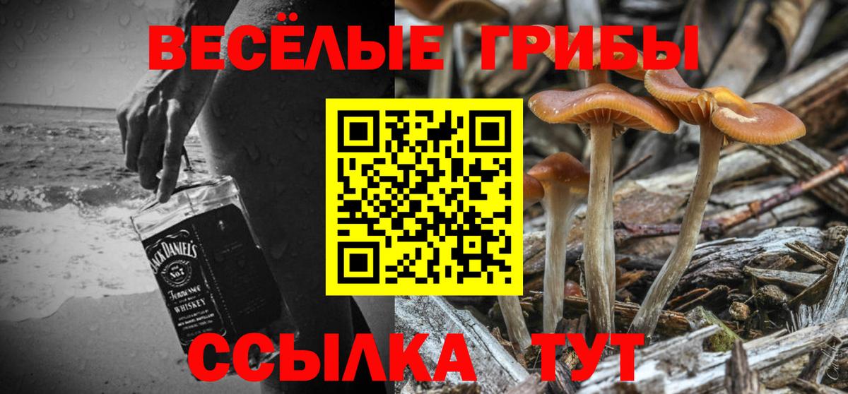Тула  Галлюциногенные грибы GOLDEN TEACHER  Вход с VPN  Псилоцибиновые грибы Psilocybe 
